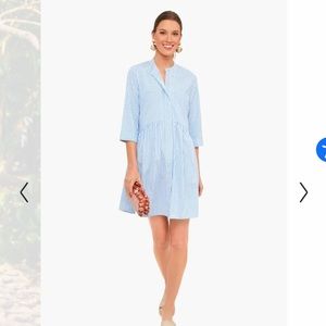 Tuckernuck blue stripe Royal shirt dress NWOT